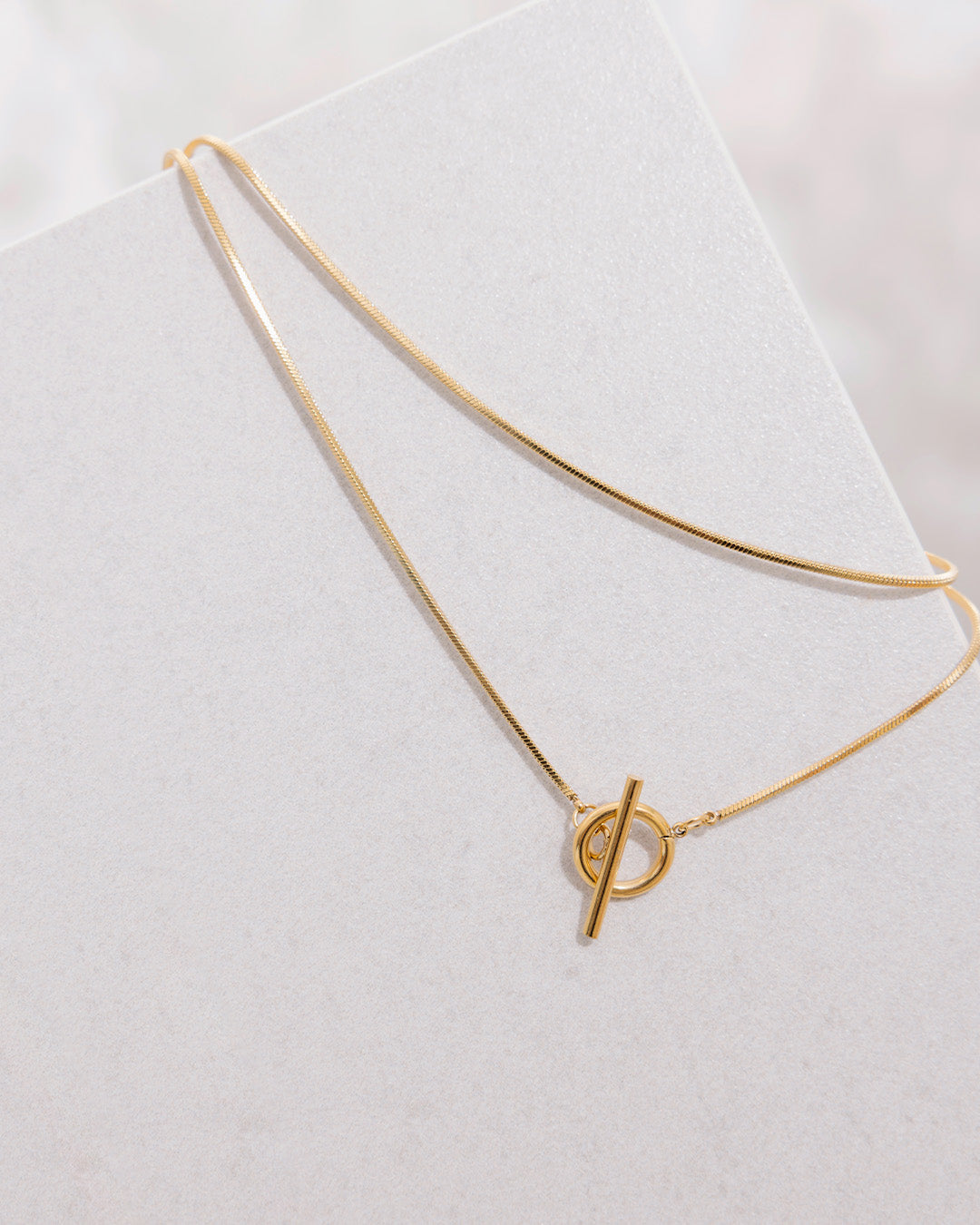 Collar Doble Lazo - Acero Inoxidable