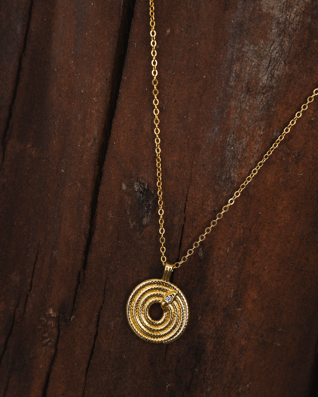 Collar Paradoja