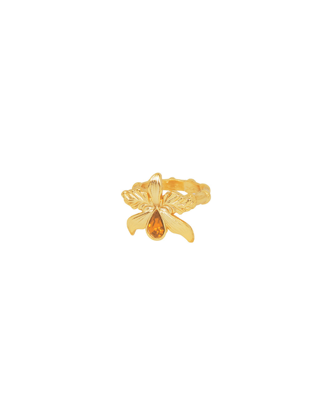 Anillo Ambrossia
