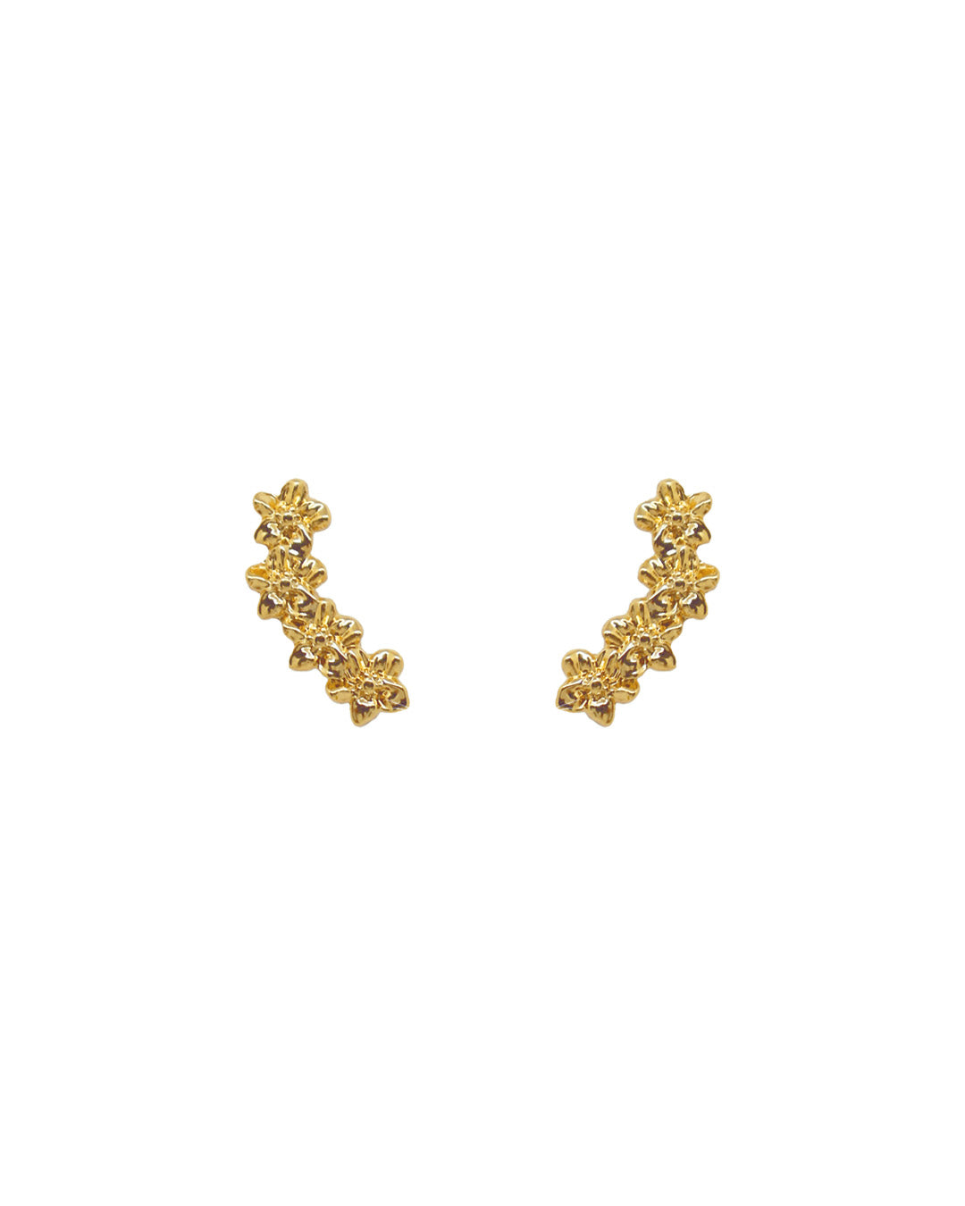 Aretes Gardenia