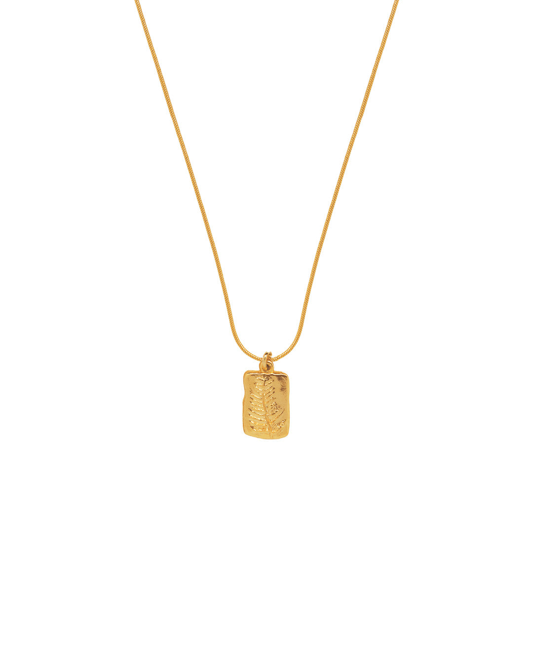 Collar Amuletos Helecho