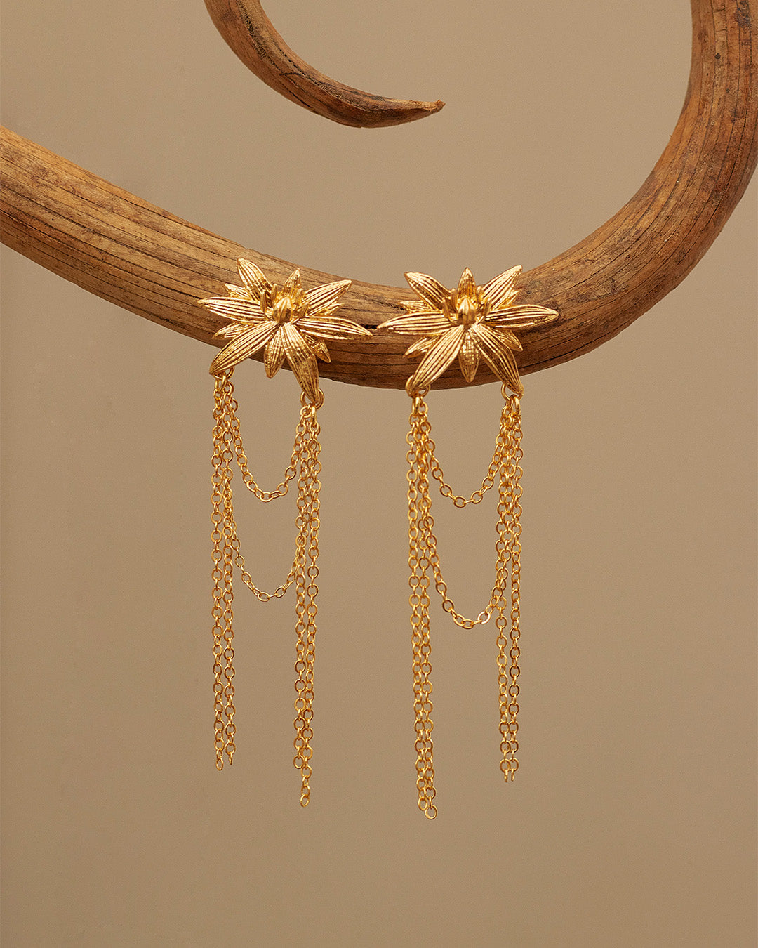 Aretes Serena
