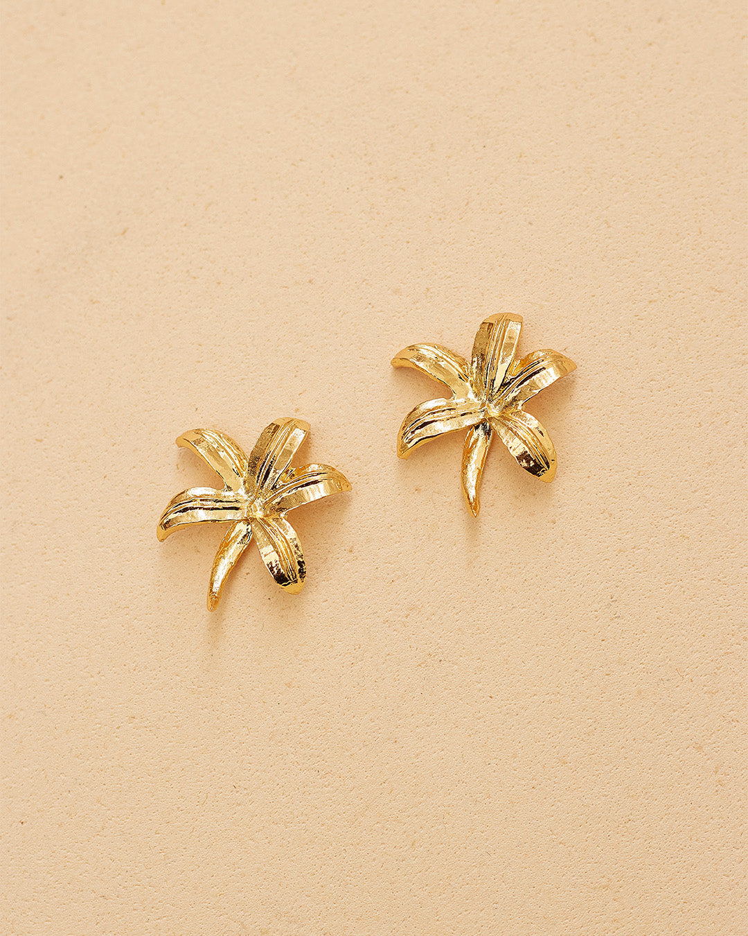 Aretes Cattleya