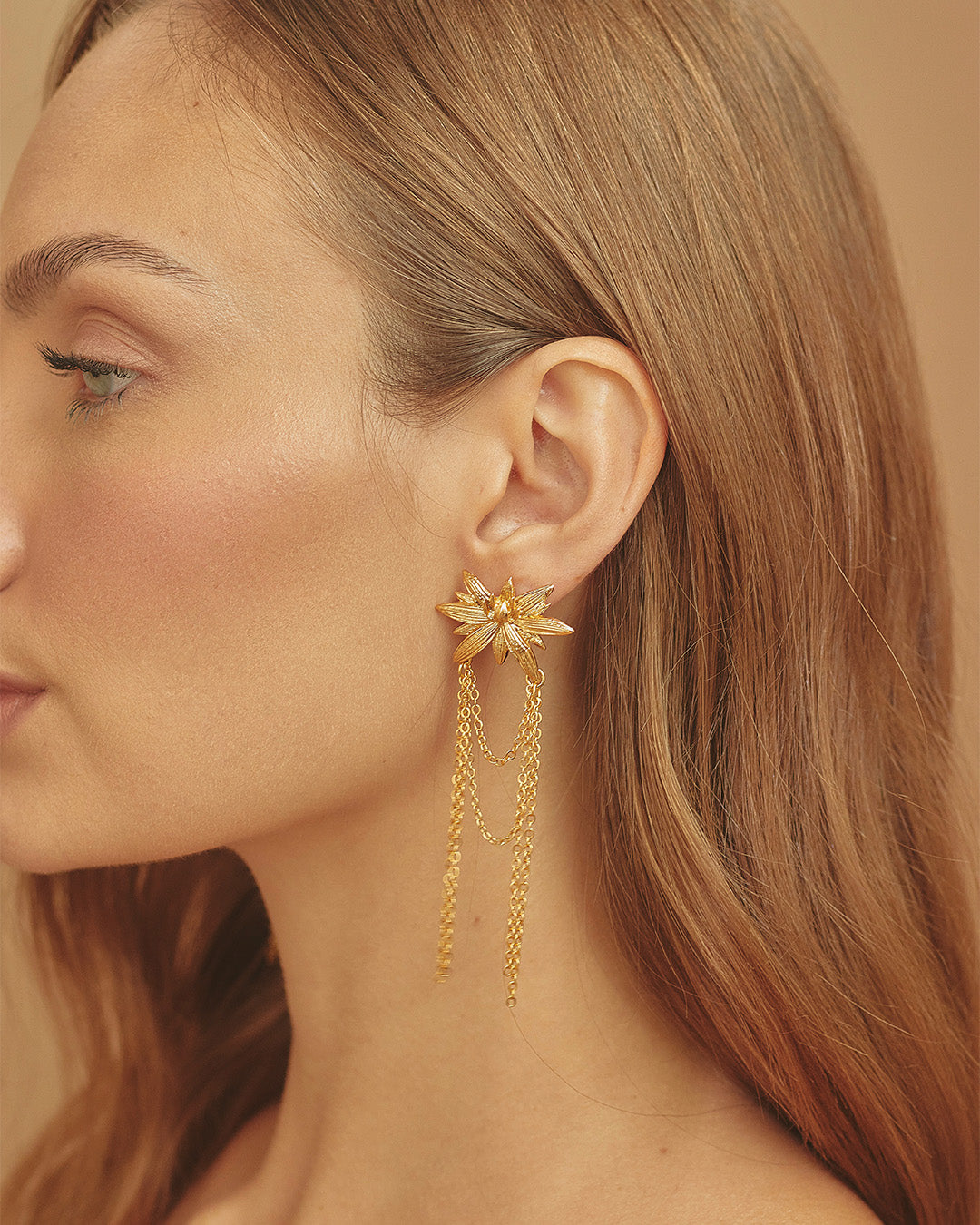Aretes Serena