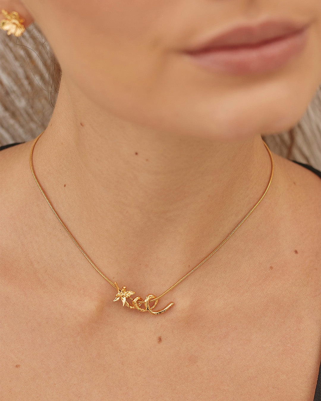 Set de Collar y Aretes Delilah
