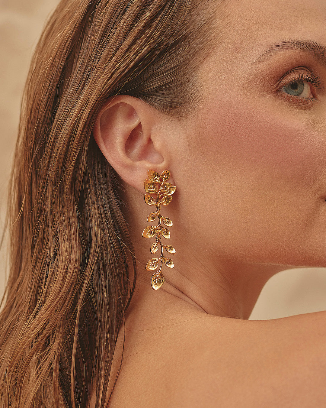 Aretes Broza