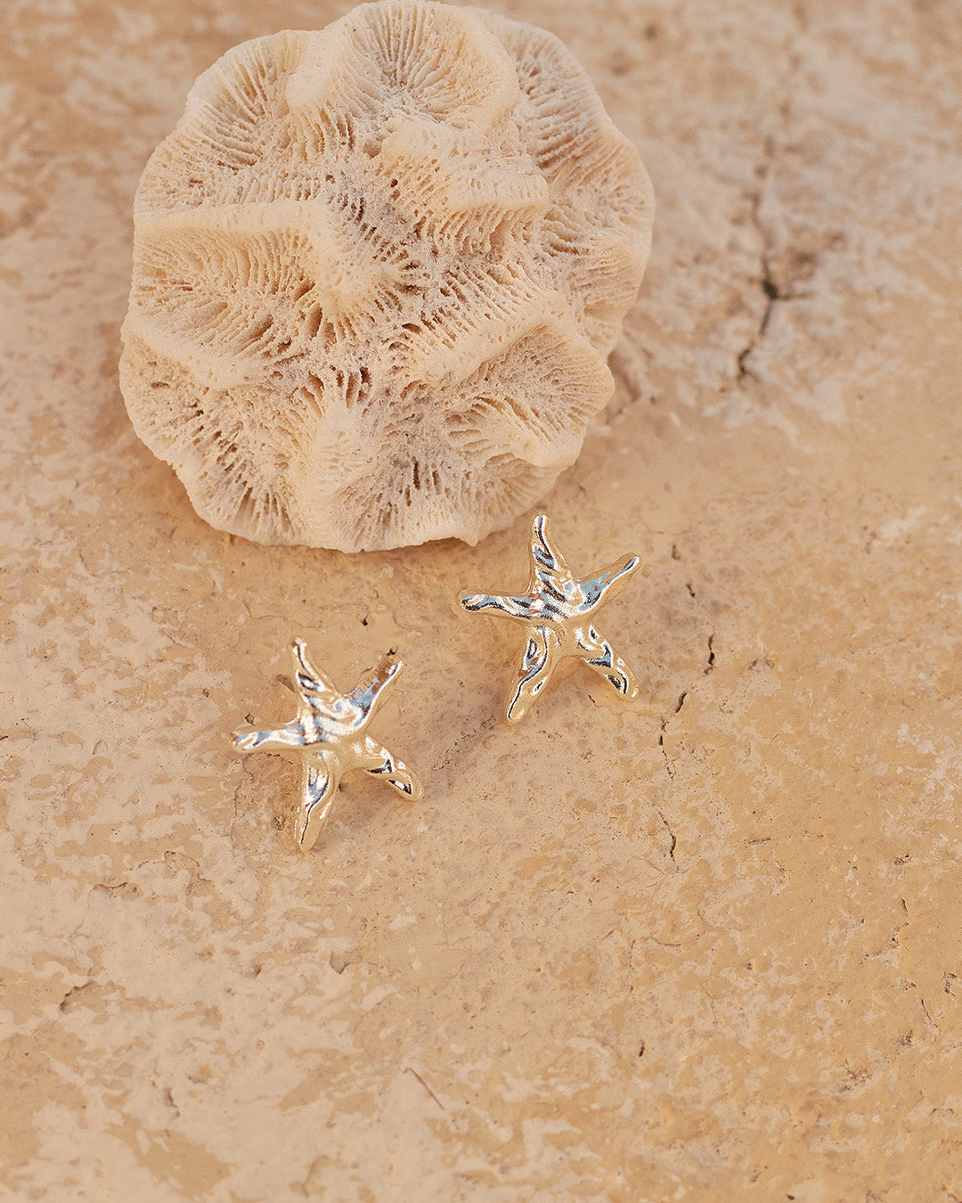 Aretes Starlit con diseño único de estrella de mar